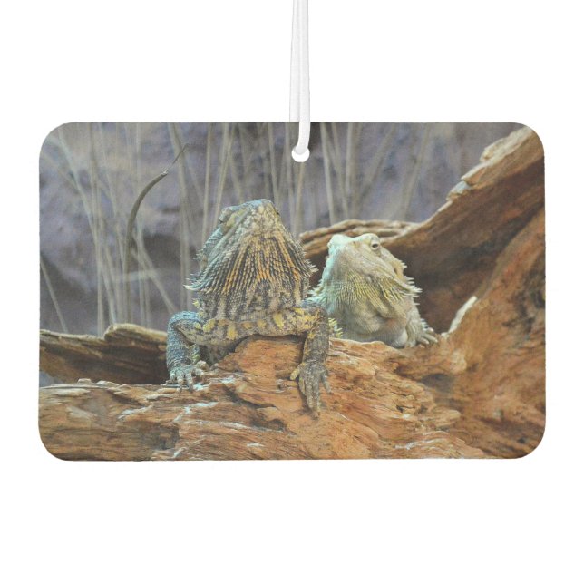 Car Air Fresheners with two curious lizards (Front)