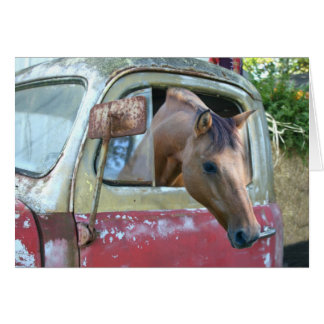Car driving horse