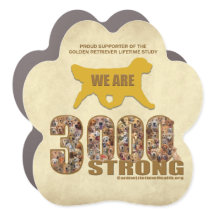 Car Magnet - 3000 strong