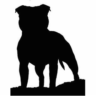 Car magnet photo sculpture magnet