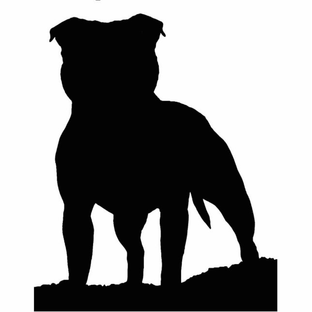 Car magnet photo sculpture magnet (Front)