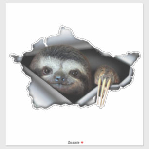 Car sticker Koala car decal Animals sticker Koala
