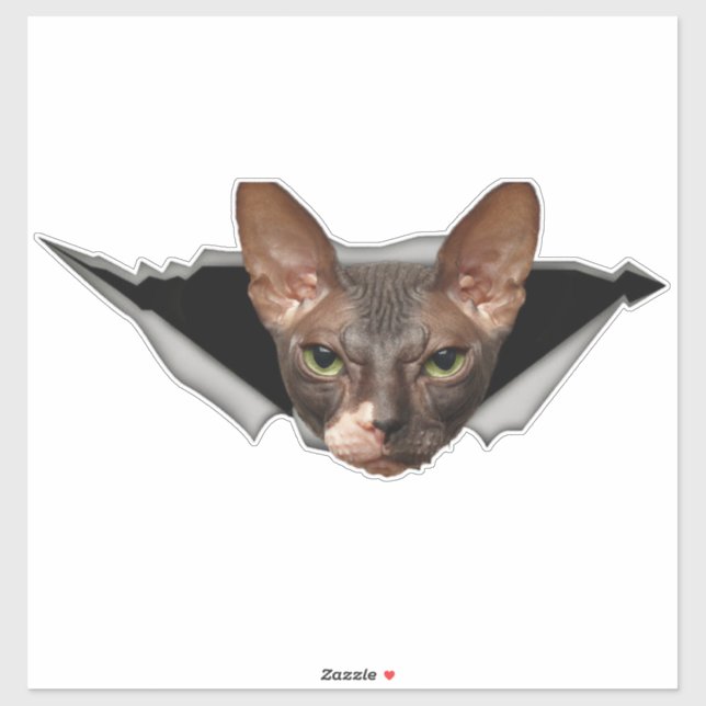 Car sticker Sphynx cat sticker Sphynx decal (Sheet)
