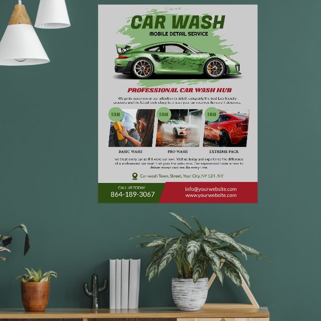 Car Wash Services Poster (Living Room 1)