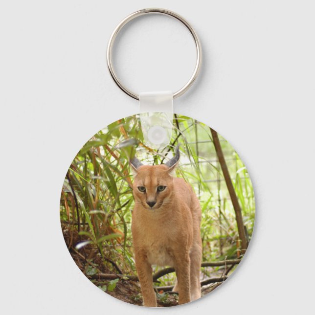 Caracal Lynx Keychain (Front)