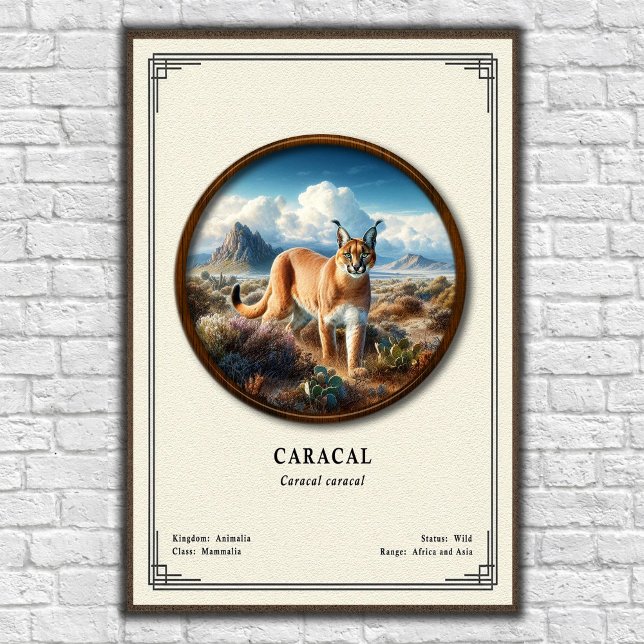 Caracal Zoology Series Poster (Creator Uploaded)