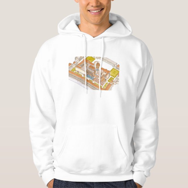 Caracalla baths Rome Hoodie (Front)