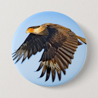 "Caracara Flight" Button