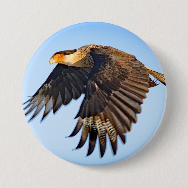"Caracara Flight" Button (Front)