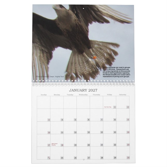Caracaras of Florida Calendar (Jan 2027)