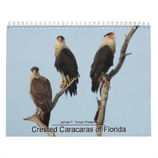 Caracaras of Florida Calendar