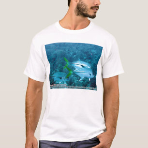 Caranx Lugubris (Black Jacks) T-Shirt