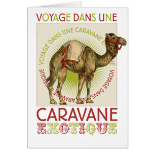 Caravan Camel