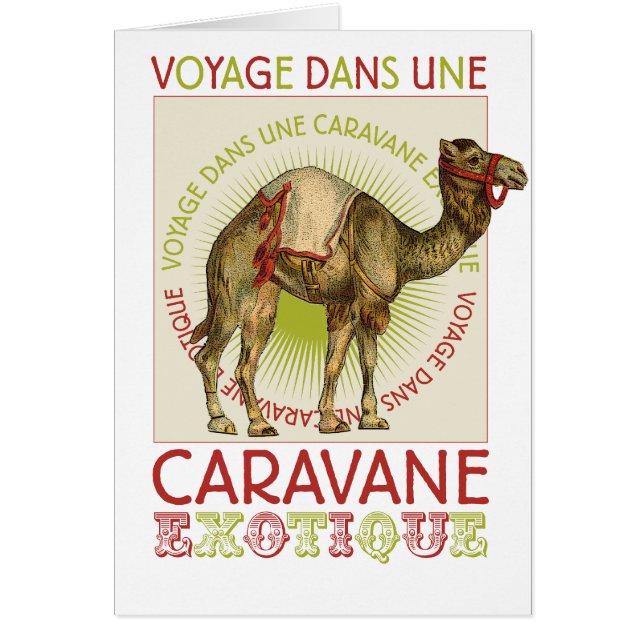 Caravan Camel (Front)
