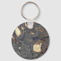 Carbonate rock with fossils