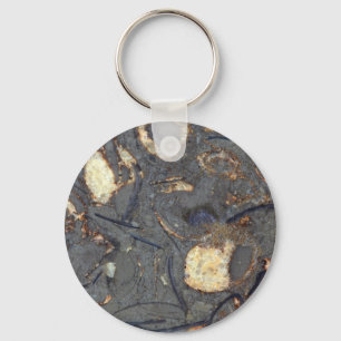 Carbonate rock with fossils key ring