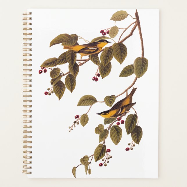 Carbonated Warbler Audubon Bird Planner (Front)