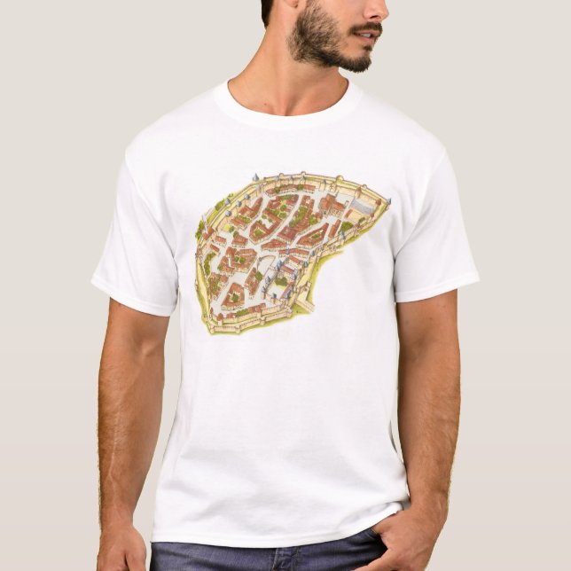 Carcassonne France. Aerial view T-Shirt (Front)
