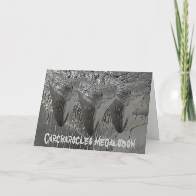 Carcharocles megalodon card (Front)