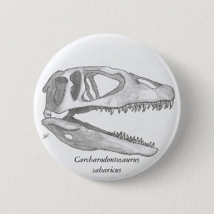 Carcharodontosaurus saharicus skull button