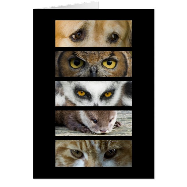 Card - Animals Eyes (Front)