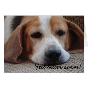 Card: Beagle Feel Better Soon