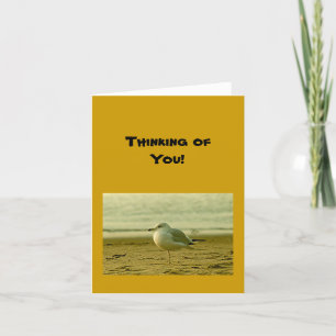 Card - blank - seagull - Thinking of You!