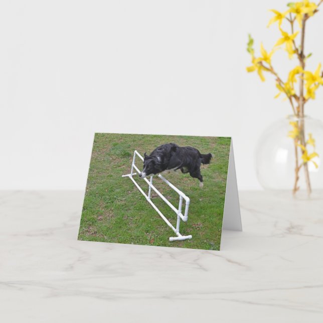 card - Border Collie Jumping (Yellow Flower)
