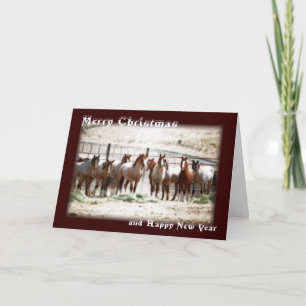 Card - Christmas: Horses