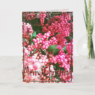 Card, Christmas, New Year, Holiday - Holly Berries