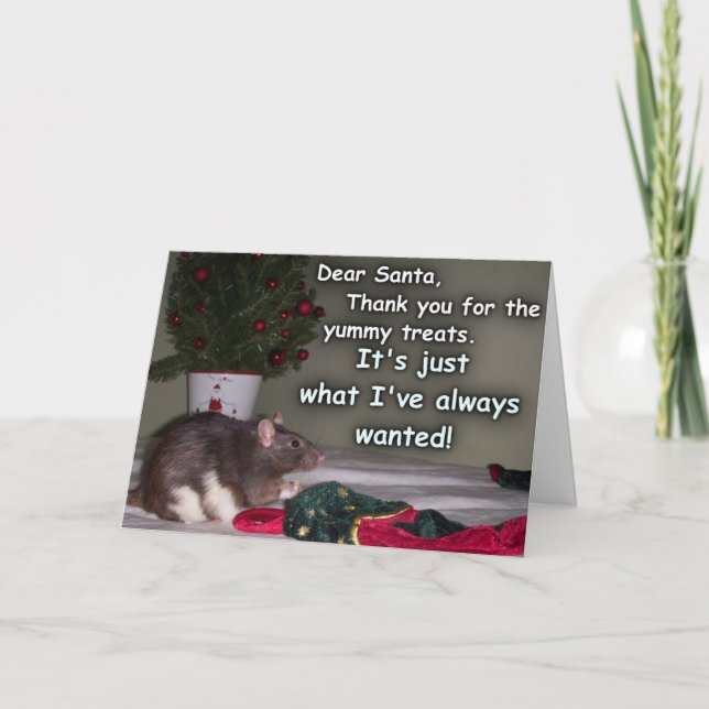 Card: Christmas Rat Dream Come True! Holiday Card (Front)