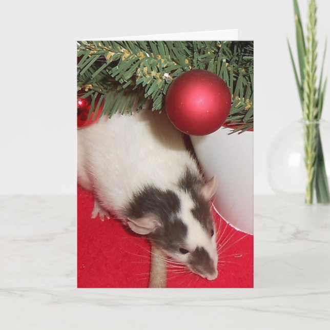 Card: Christmas Rats Holiday Card (Front)