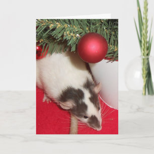 Card: Christmas Rats Holiday Card