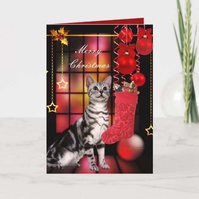 Card Christmas Xmas Cat (Front)