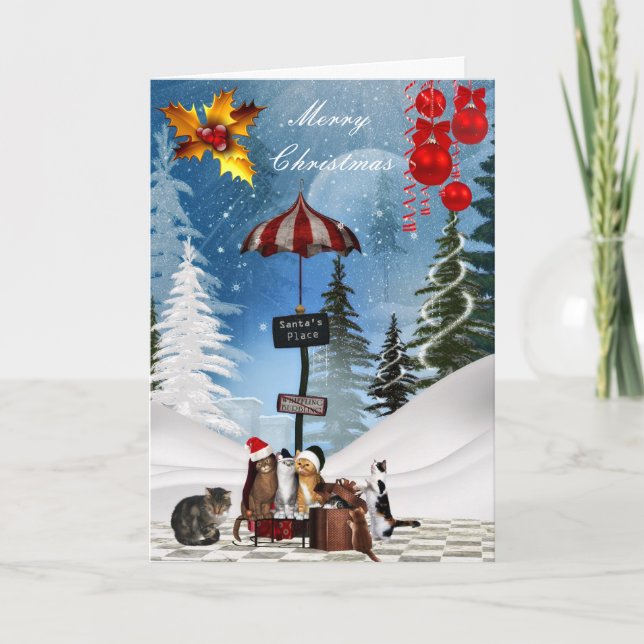 Card Christmas Xmas Cats Hat Snow (Front)