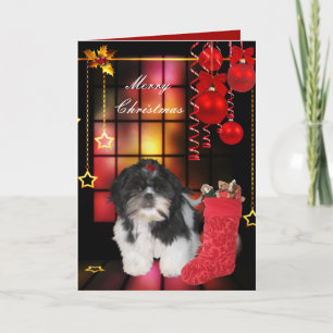 Card Christmas Xmas Dog Shitzu Puppy