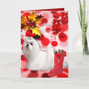 Card Christmas Xmas Maltese Dog Puppy Hearts