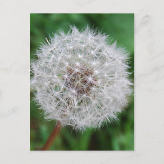 Card Dandelion Clock