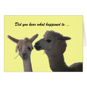 Card - Did You Hear ...
