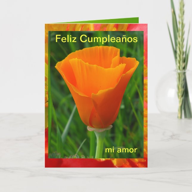 Card - Feliz Cumpleaños, mi amor (Front)
