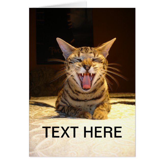 Card for any occasion (Front)