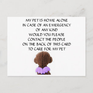 CARD FOR "YOUR PET" IN CASE YOU HAVE AN EMERGENCY
