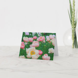 Card, "GARDEN OF PASTEL PEONIES" Card