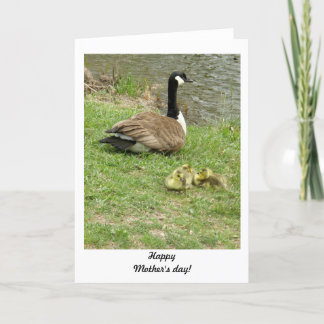 card - Geese, Mother's Day
