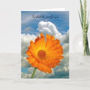 Card - greeting - Calendula on Stem