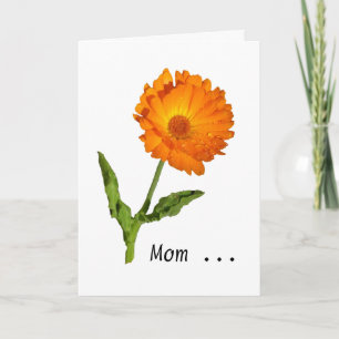 Card - Greeting - Calendula Thanks