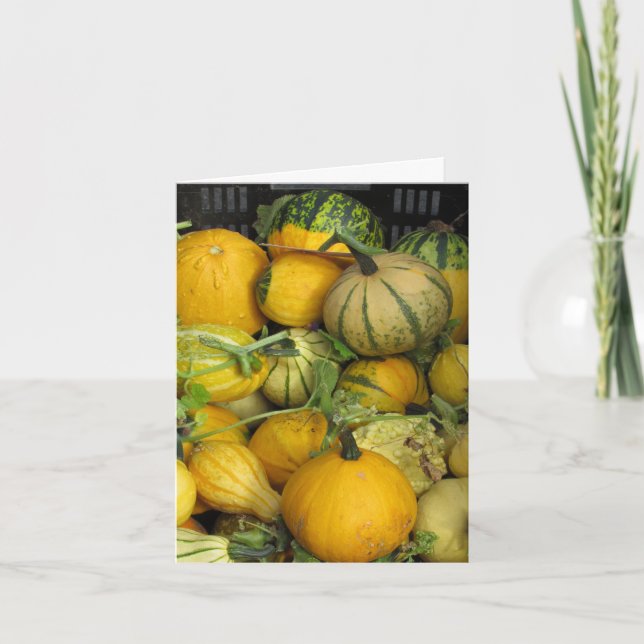 Card - Greeting - Summer squash (Front)