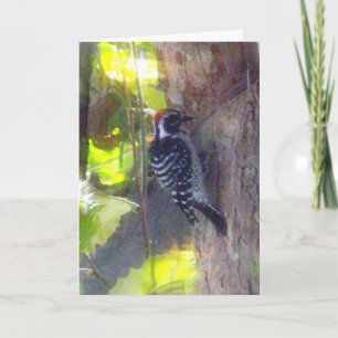 Card - Greeting - Woodpecker