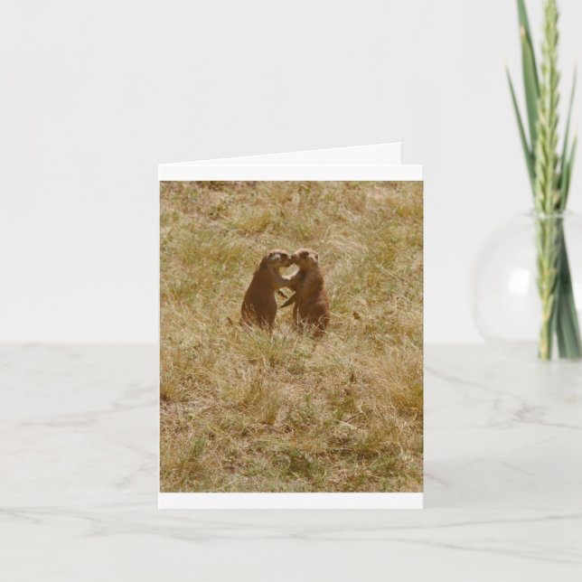 Card has cute photo of 2 prairie dogs 'chatting' (Front)