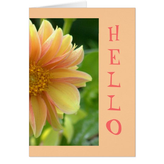 card, "Hello", pretty Dahlia, salmon pink and yell Card